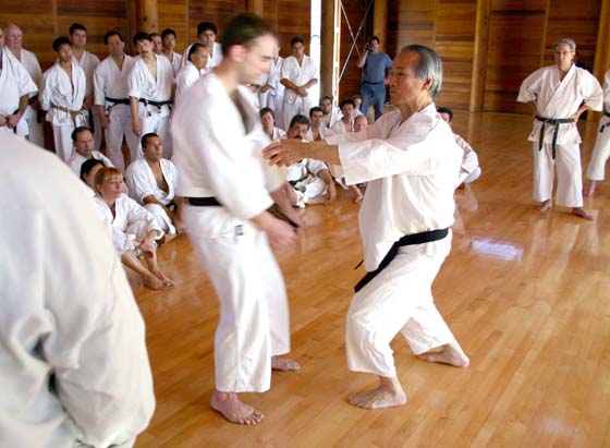 Shotokan Karate of America – The original nonprofit organization