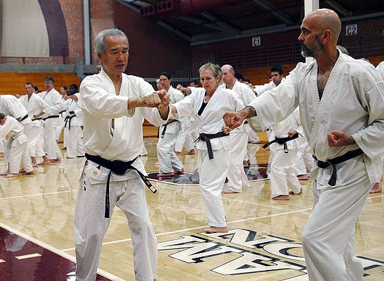 Shotokan Karate Of America – The Original Nonprofit Organization ...