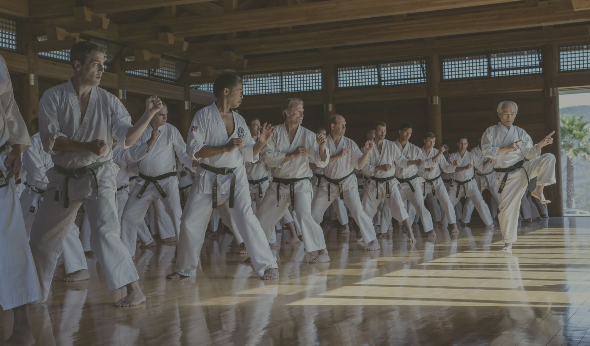 Shigeru Egami: Shotokai Karate